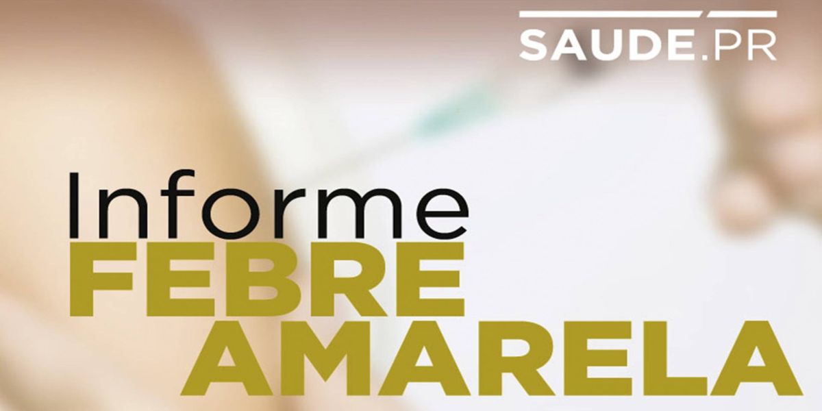 Saúde registra três novas mortes de macacos pela febre amarela