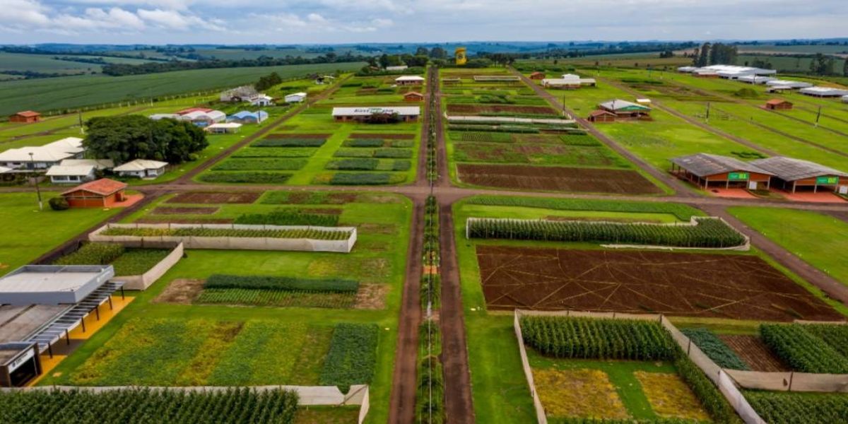 Show Rural Coopavel informa link ao agendamento de visitas