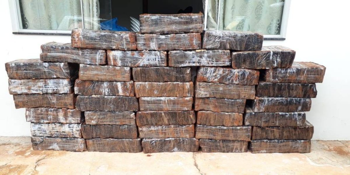 Denarc Cascavel realiza apreensão de 613 quilos de maconha dentro de automóvel