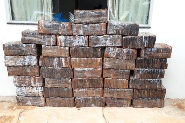 Denarc Cascavel realiza apreensão de 613 quilos de maconha dentro de automóvel