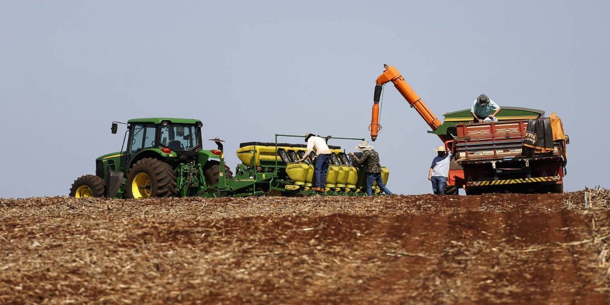 Boletim agropecuário retrata atraso nas lavouras em razão das chuvas
