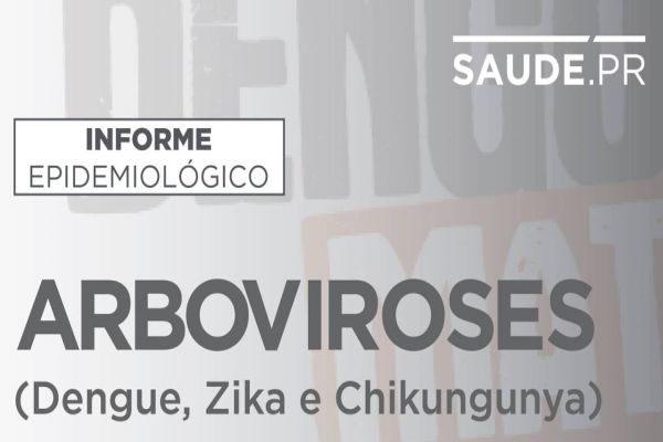 Mais 302 casos de dengue são registrados em municípios paranaenses