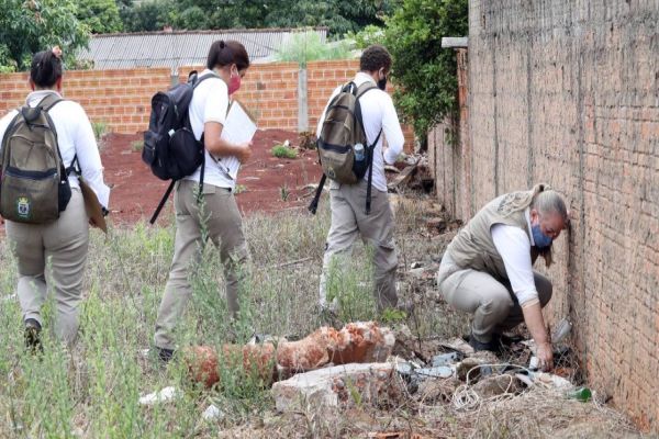 Cascavel confirma mais um caso de dengue e prepara ações para combater proliferação