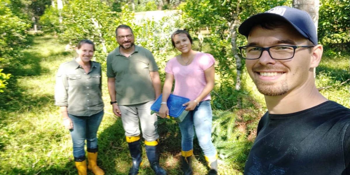 Unioeste desenvolve projetos para controle de pragas da erva-mate