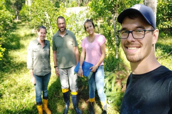 Unioeste desenvolve projetos para controle de pragas da erva-mate