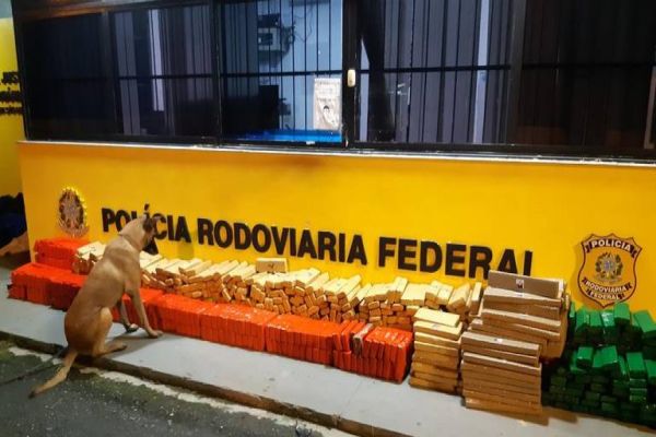 PRF apreende mais de meia tonelada de maconha na região metropolitana de Curitiba (PR)
