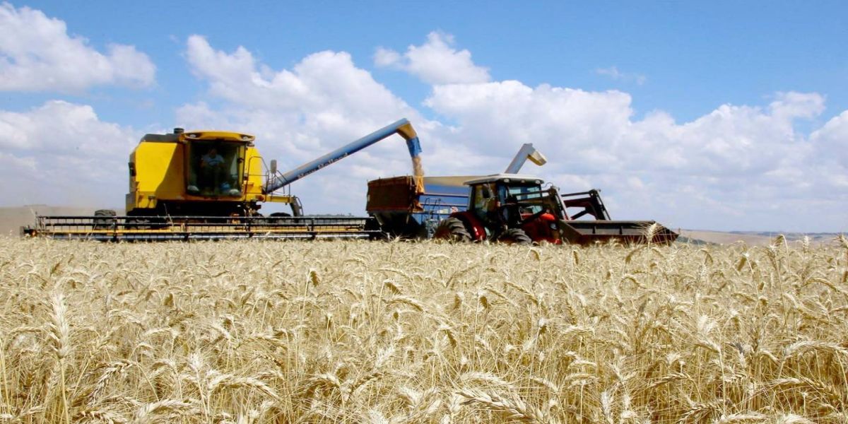 Secretaria da Agricultura orienta produtores do Paraná sobre Plano Safra