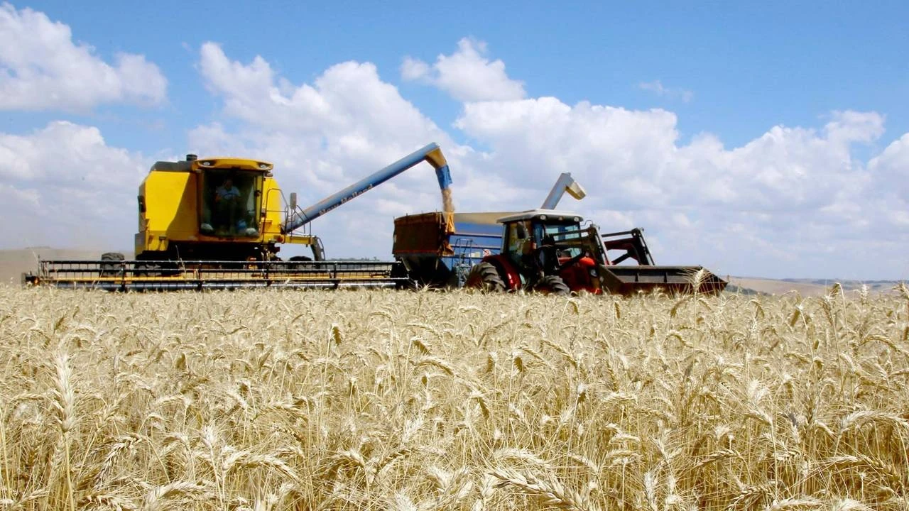 Foto relacionada a notícia: Trigo paranaense abastece mercado interno em janeiro