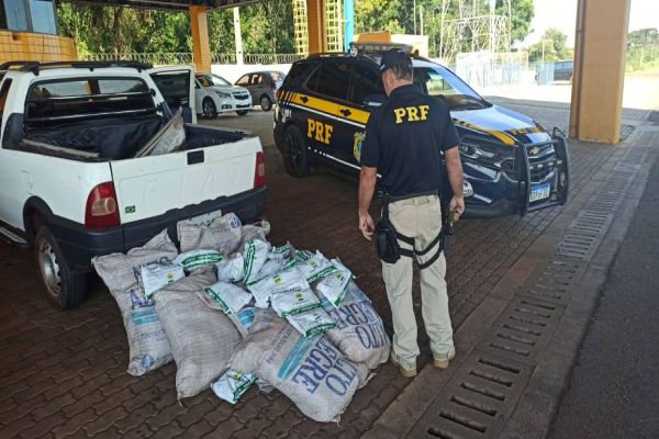 PRF Cascavel apreende 200 kg de agrotóxicos ilegais, contrabandeados do Paraguai na BR-467