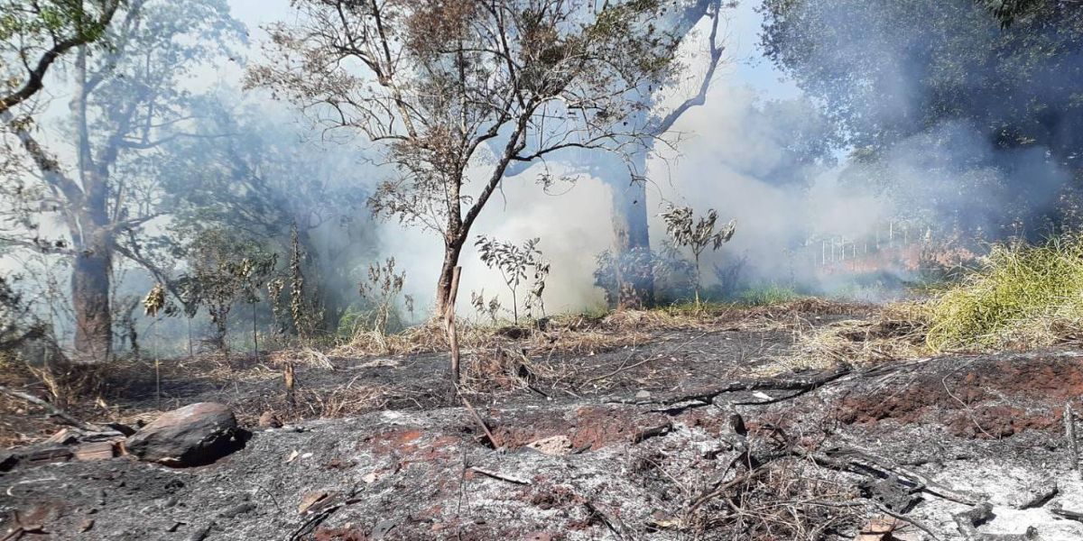 Corpo de Bombeiros alerta a todos sobre um crescente número de incêndios em vegetação