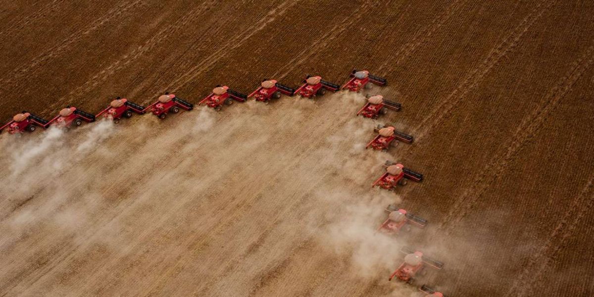 Caixa amplia para R$ 12 bilhões a oferta de crédito agrícola