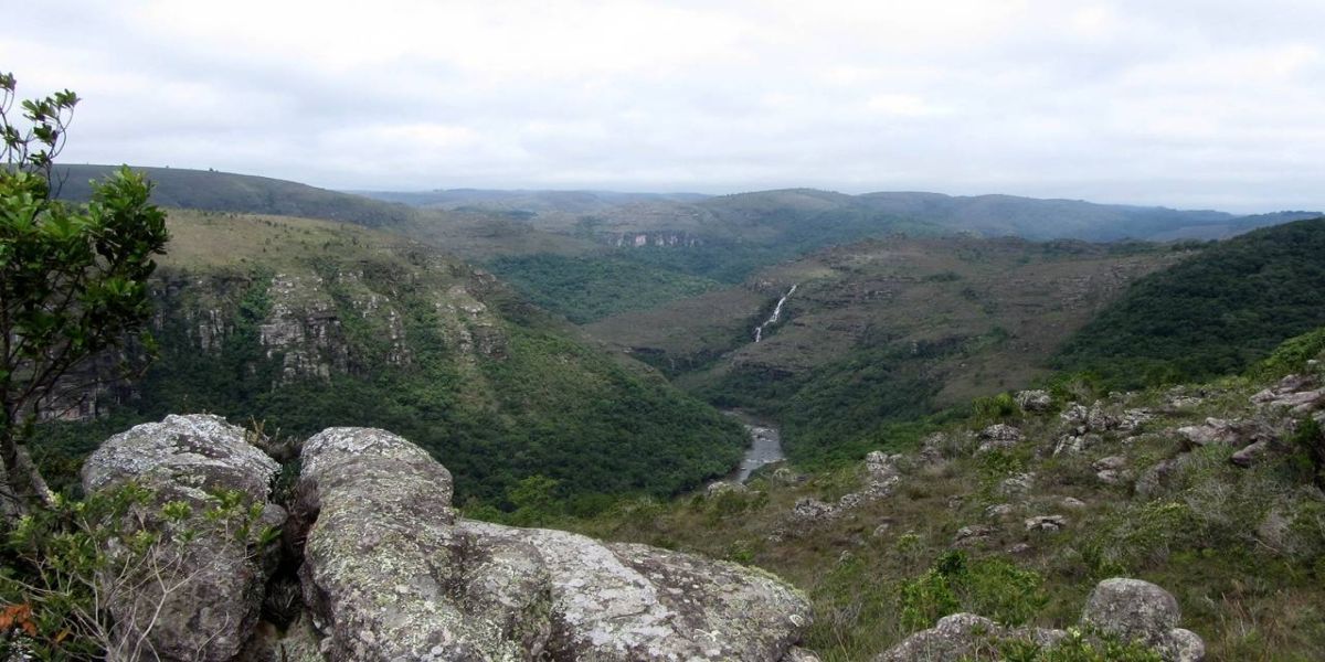 Municípios devem cadastrar suas unidades de conservação