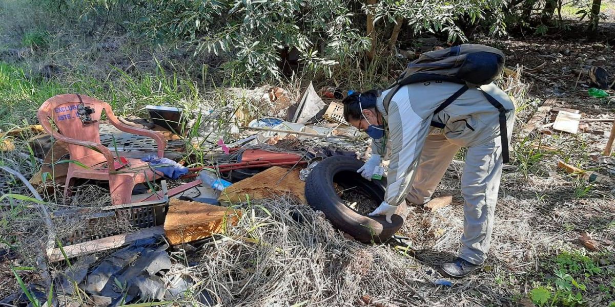 Não é só a Covid-19: Saúde reforça orientações sobre cuidados sobre a "dengue"