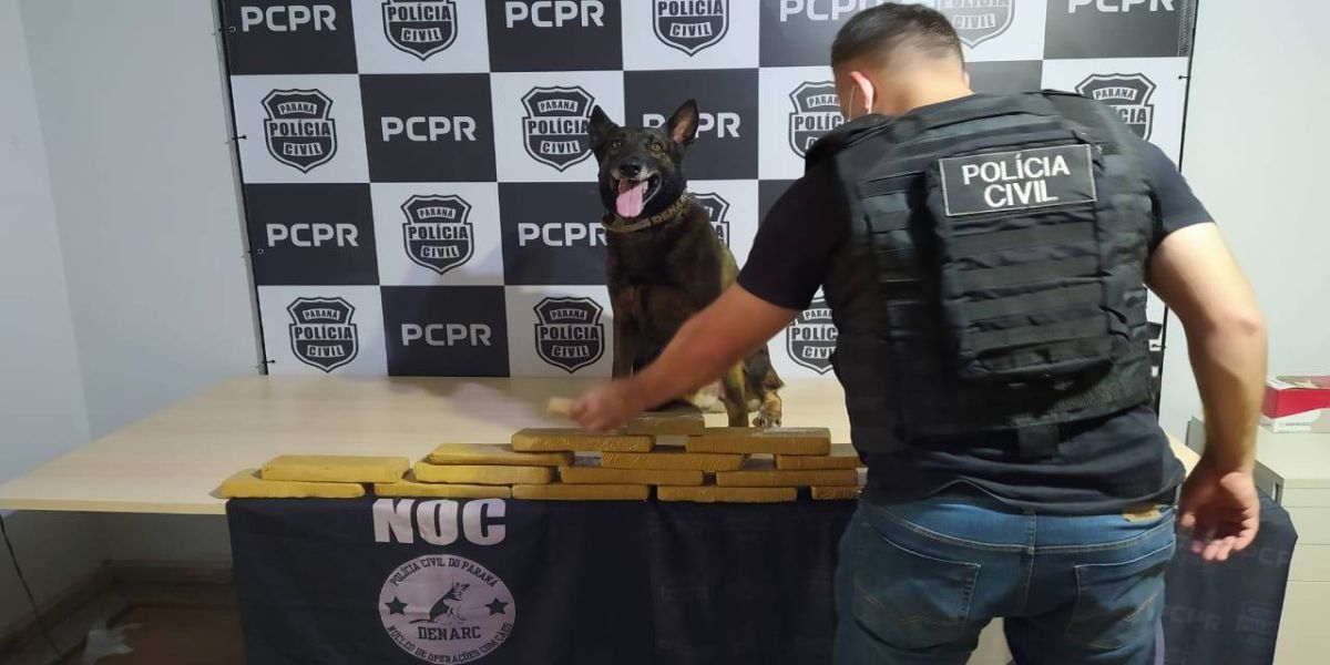 Denarc Cascavel realiza apreensão de 11 quilos de maconha na rodoviária
