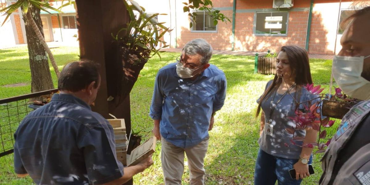 Programa Agricultura Urbana adere a criação de abelhas sem ferrão