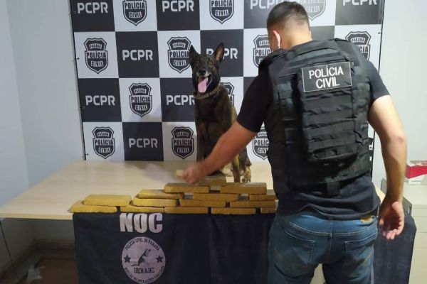 Denarc Cascavel realiza apreensão de 11 quilos de maconha na rodoviária