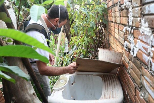 Casos de dengue sobem para 83 em Cascavel
