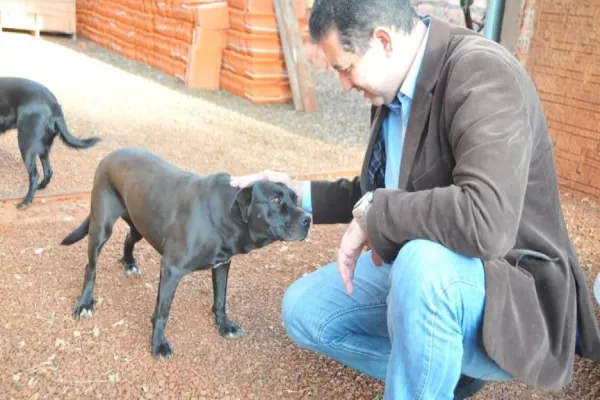 Foto relacionada a notícia: Projeto de lei quer incluir direitos dos animais no currículo escolar
