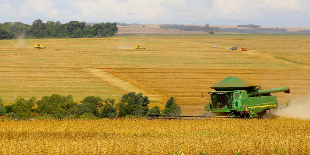 Paraná apresenta sugestões para aprimorar Plano Safra 2021/22