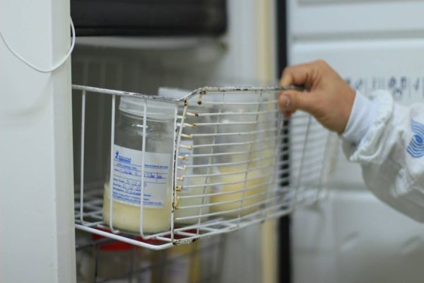 Estoques do Banco de Leite do HUOP estão baixos