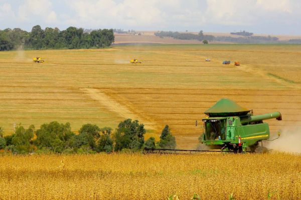 Paraná apresenta sugestões para aprimorar Plano Safra 2021/22