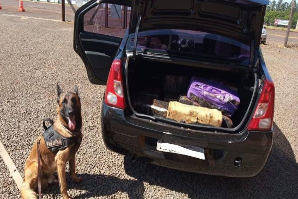 BPFRON apreende drogas em veículo durante Operação Hórus em Marechal Cândido Rondon