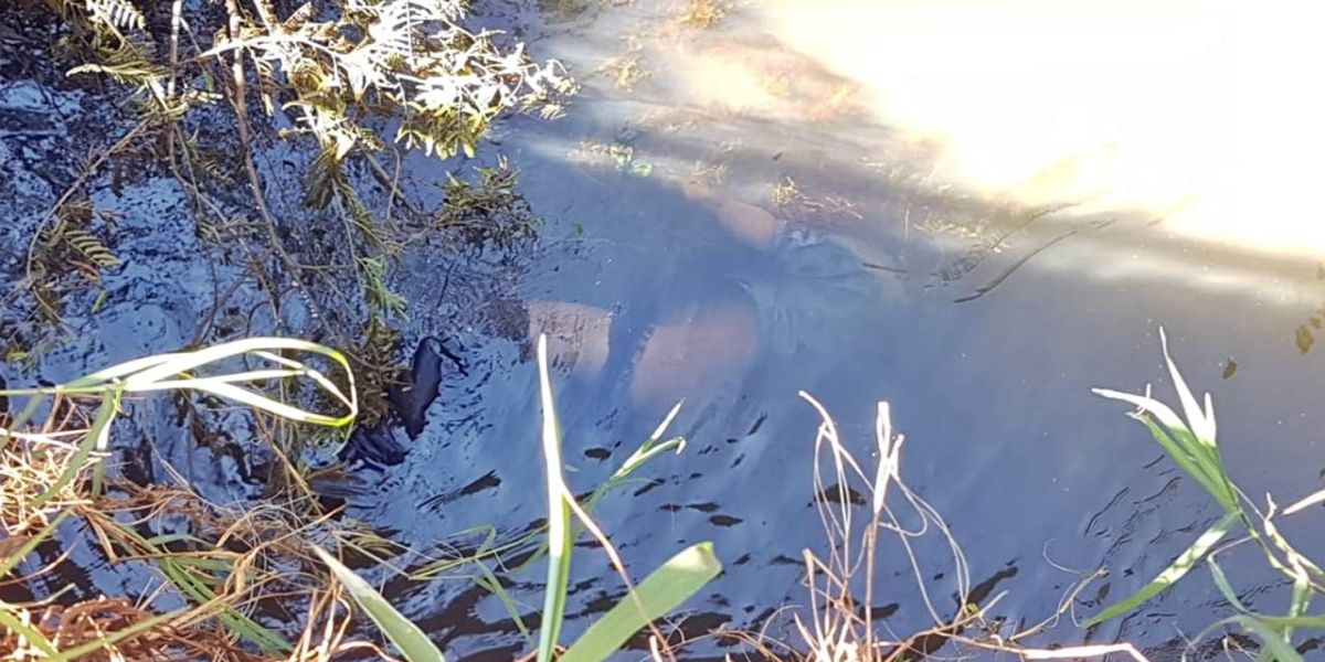 Homem é encontrado morto dentro de rio na Estrada Rio da Paz em Cascavel