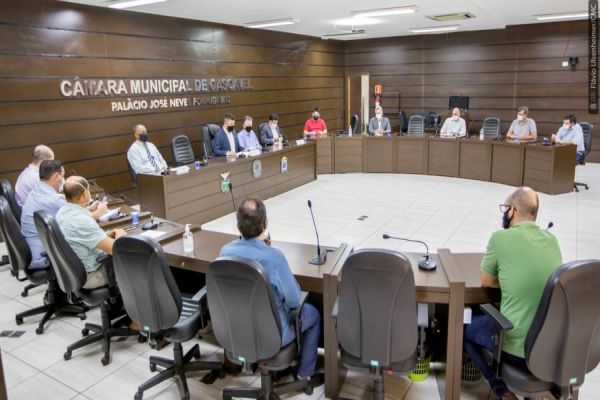 Gestores debatem na Câmara suas experiências diante do agravamento da pandemia