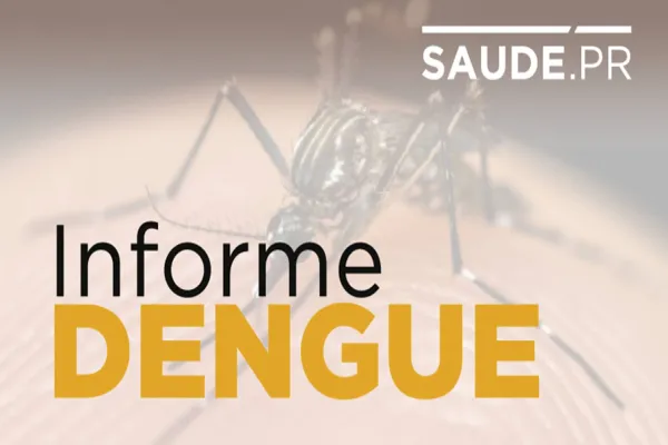 Foto relacionada a notícia: Informe semanal da dengue registra 605 novos casos
