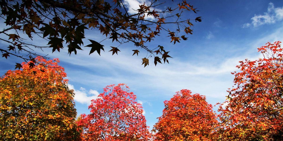 Outono começa abafado e com chuva em algumas regiões do Estado