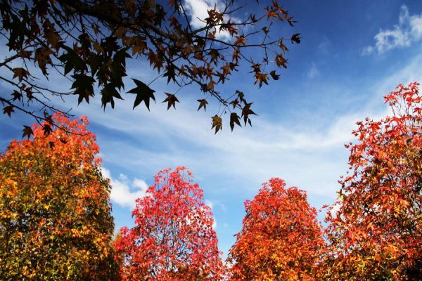 Outono começa abafado e com chuva em algumas regiões do Estado
