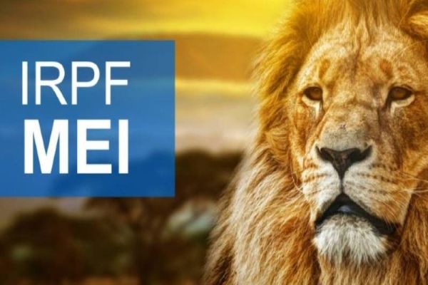 Sebrae/PR esclarece dúvidas sobre a declaração do Imposto de Renda pessoa física para MEI