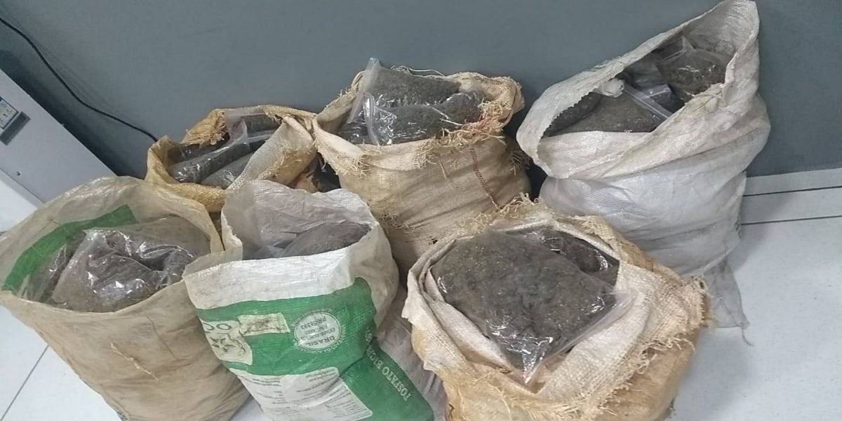 Denarc de Cascavel realiza apreensão de 61,3 quilos de ‘skunk’ em Nova Laranjeiras