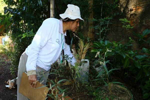 Novos casos de dengue alertam para manter cuidados