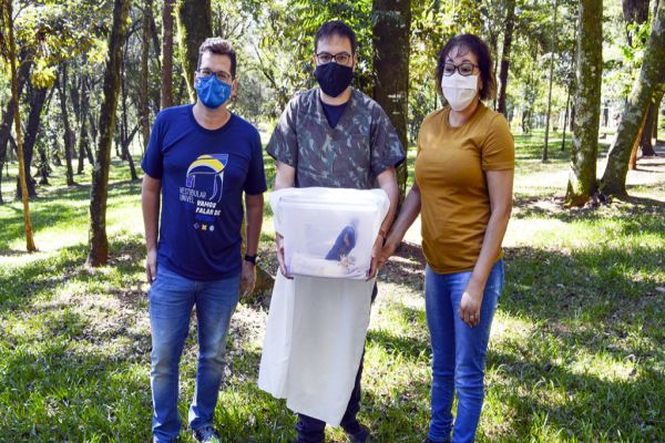 Clínica Veterinária da Univel realiza parceria com IAT - Instituto Água e Terra