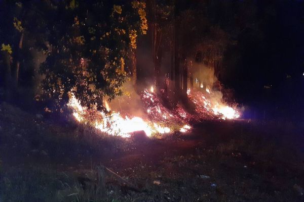 Imagem referente a notícia: Incêndio ambiental causa transtornos no Bairro Brasília e Bombeiros são mobilizado