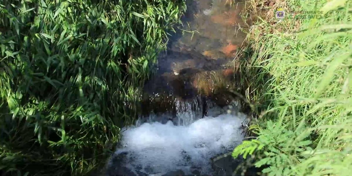 Córrego Bezerra sofre com poluição e descarte de lixo e entulho