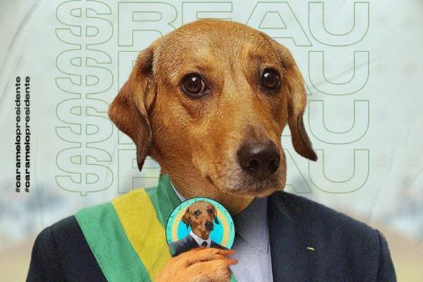 $REAU: Vira-lata Finance, pode chegar a zero alertam especialistas