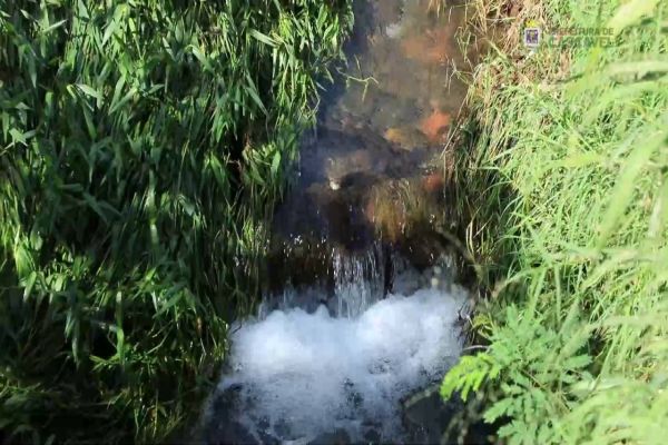 Córrego Bezerra sofre com poluição e descarte de lixo e entulho