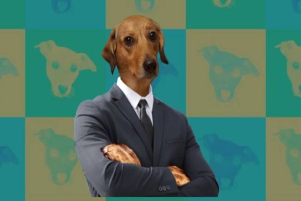 Vira-lata Finance ($REAU) valorizou mais de 56.000% em menos de uma semana