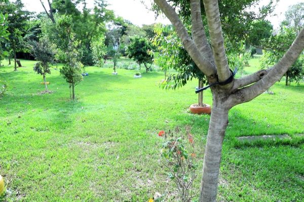 Imagem referente a notícia: Aposentado adota e preserva área de fundo de vale