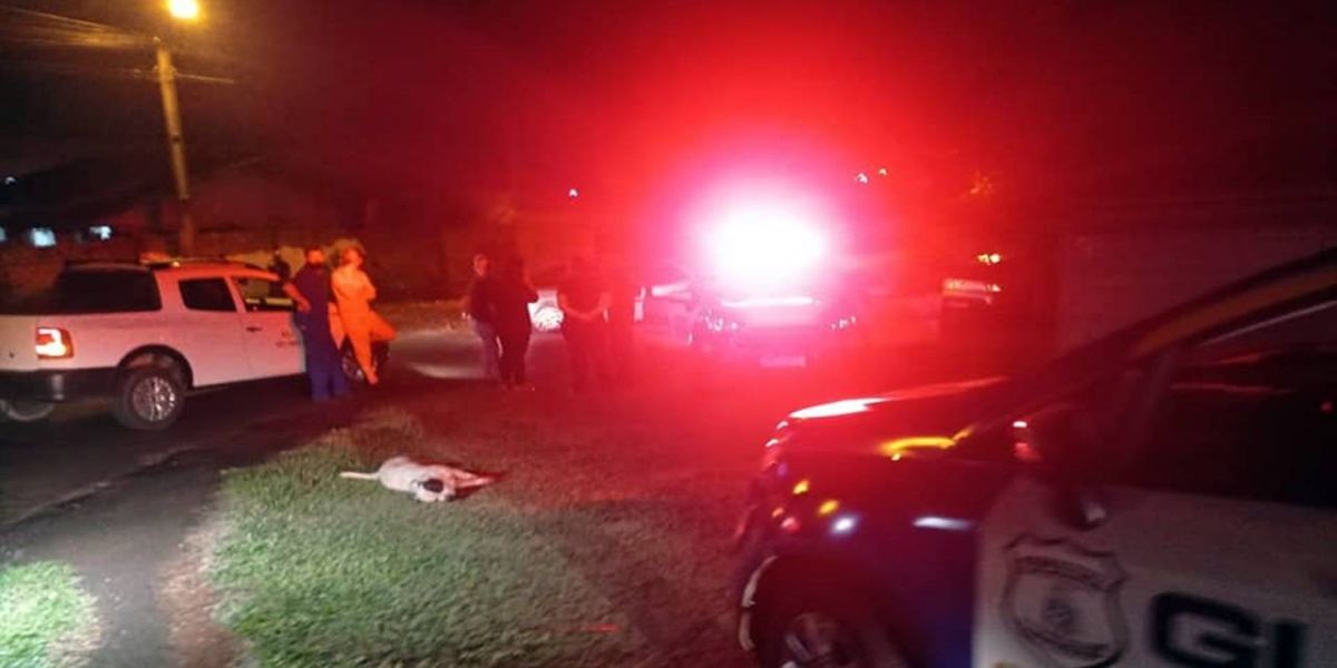 Para salvar vida de criança, equipe da GM atira contra pitbulls em Foz do Iguaçu