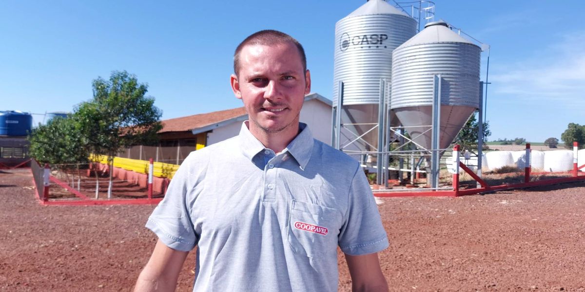 Aves/Suínos: Extensionista da Coopavel é eleito o melhor em assistência técnica do Brasil