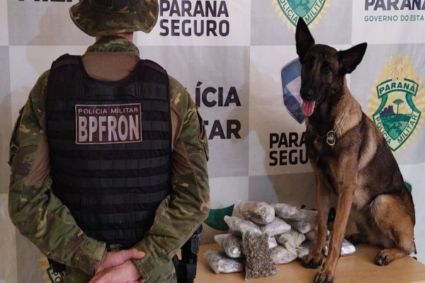 BPFRON apreende drogas em ônibus durante Operação Hórus na cidade de Cascavel