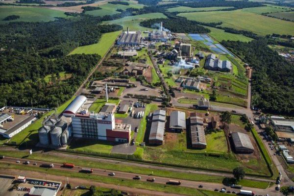 Coopavel espera efetivar 1,5 mil novos colaboradores neste ano