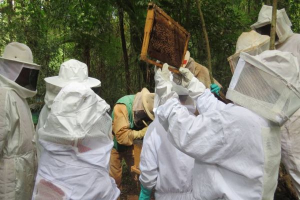 Curso de Apicultura básica é concluído por agricultores na Agrotec