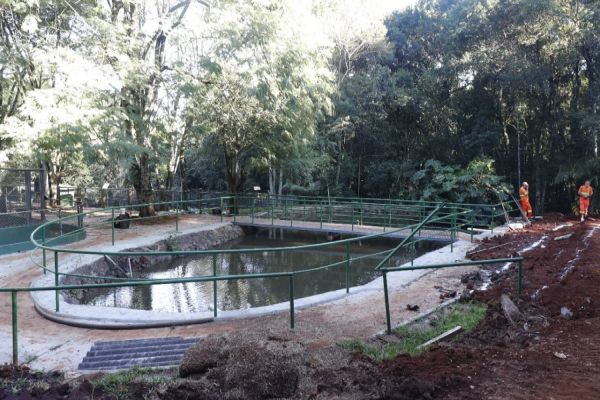 Imagem referente a notícia: Novos tempos no Zoológico de Cascavel