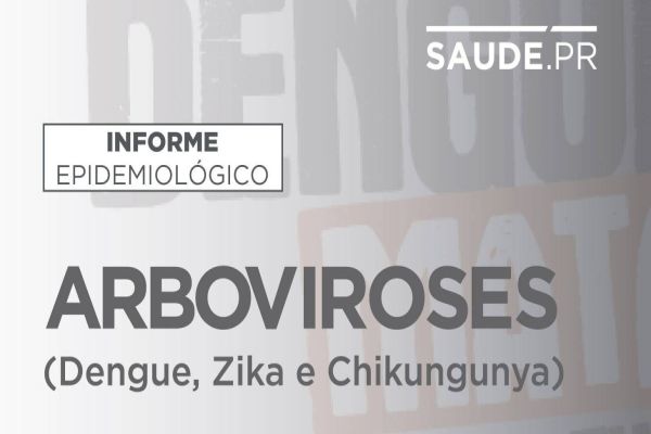 Secretaria da Saúde reforça atenção para casos de chikungunya