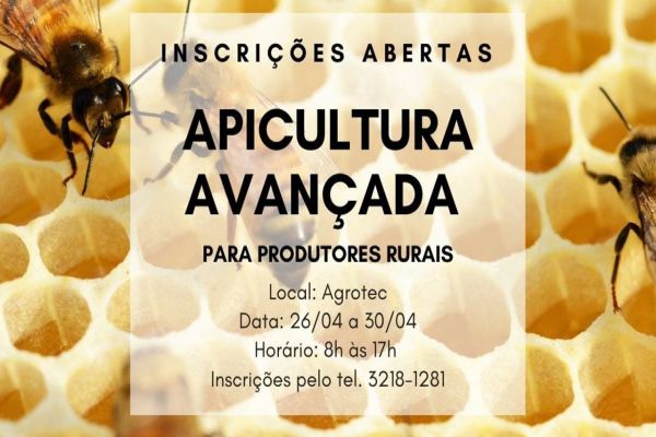 Agrotec está com inscrições abertas para o curso de Apicultura Avançada
