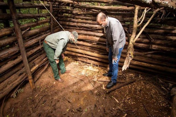 Projeto analisa zoonoses relacionadas a javalis em parques do Paraná